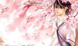 小说 动漫,动漫与小说的奇幻融合之旅